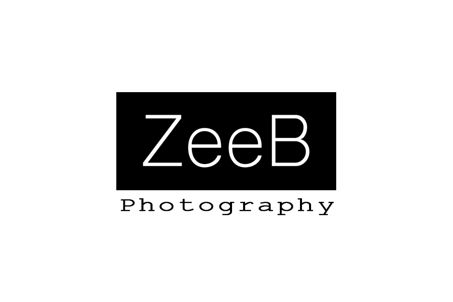Zeeb Studio